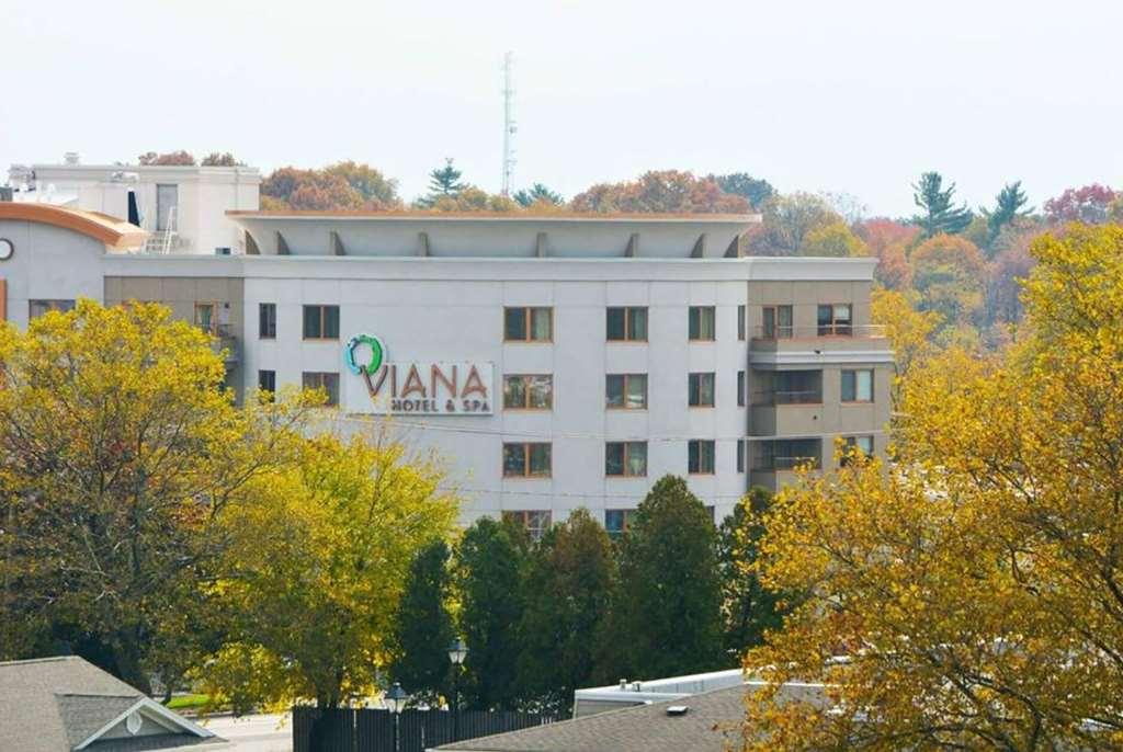Viana Hotel And Spa, Trademark Collection By Wyndham Westbury Eksteriør billede